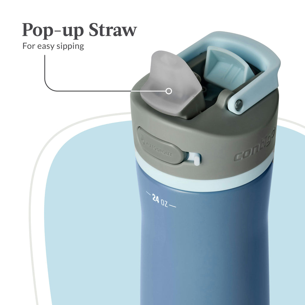 Wells Chill Stainless Steel Filter Water Bottle with AUTOSPOUT Straw Lid, 24 Oz